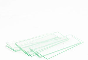 Microscope Slides with Slide Holder